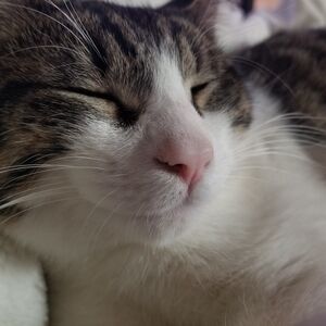 Meet your Posher, Deanna